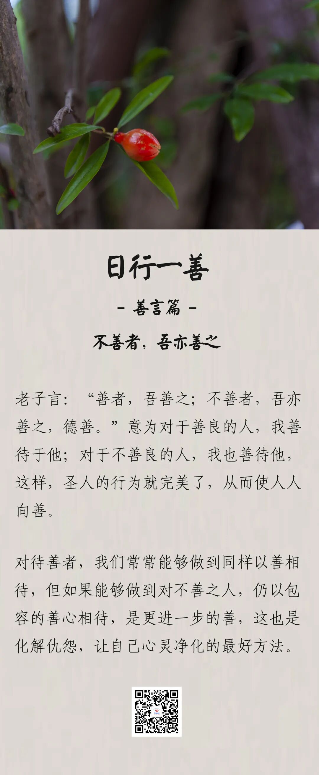 日行一善对待不善之人也要以宽容待之