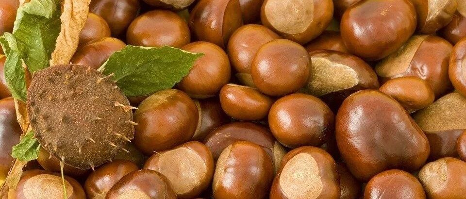 板栗生吃补肾、熟吃健脾！这6种蔬果，生吃与熟吃的差别竟然这么大！