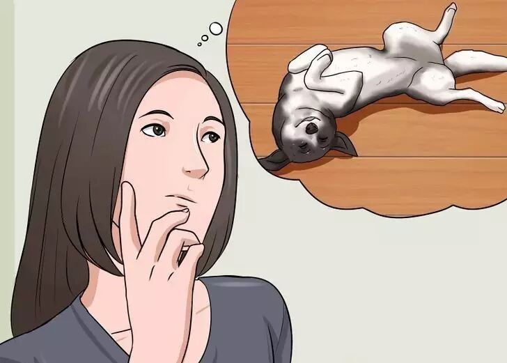 狗怎么表达情感的 狗如何表达感情