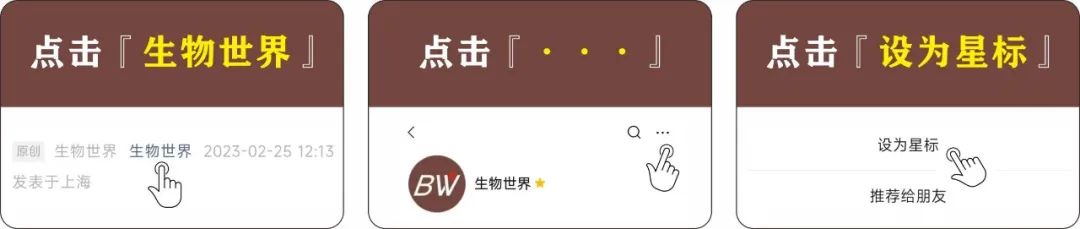 y染色体劣等基因_基因染色体有问题怎么办_y染色体是劣质基因吗