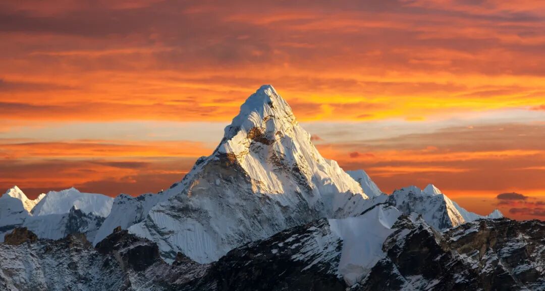 2020年度国家科技奖初评结果出炉！浙大项目数超越清华北大