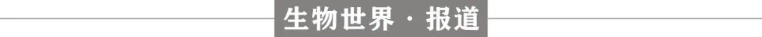 运动能对全身产生重大影响：MIT/哈佛团队绘制“运动减肥”的基因和细胞通路的图2