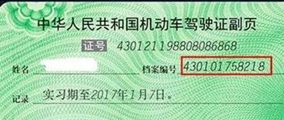 驾驶证拿到手后，要知道这5大注意事项，否则你会一直是新手