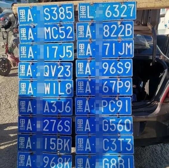 哈尔滨遇到一辆“特殊”汽车，尾部挂着19个车牌，交警看到点赞