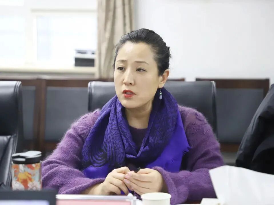 新里程医院集团首席执行官弘慈医疗集团董事长林杨林