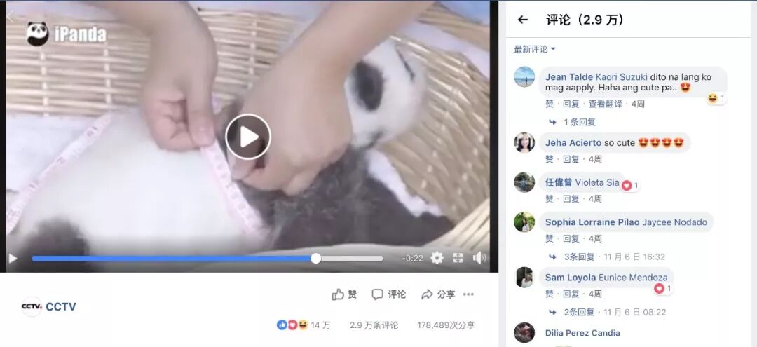 每年租金700万！只租不卖的中国特产，快要把老外逼疯了（组图） - 13
