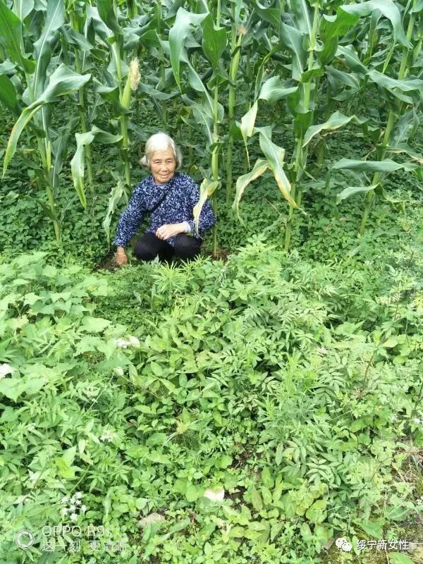 妇女主任的职责是什么_妇女主任_妇女主任是什么级别