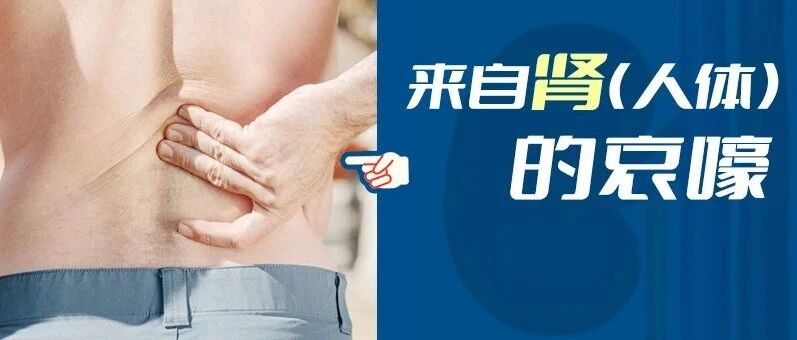 腰膝酸冷疼痛…肾阴虚还是肾阳虚？99%药店人搞不清的肾虚辩证用药一次说透了！