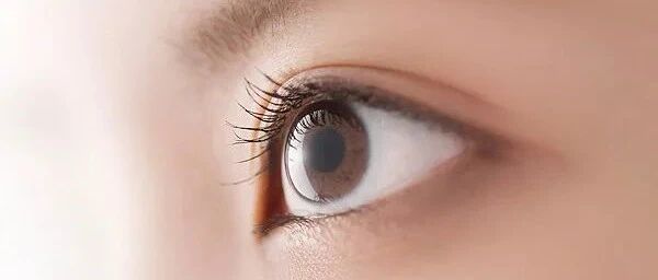 眼干、眼涩......5大类型5种联合用药方案12种热卖中成药滴眼液，一次说清！