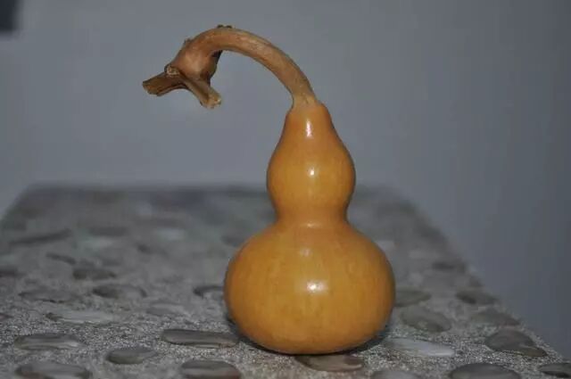 鸣虫葫芦怎么盘_如何盘玩大葫芦_盘葫芦