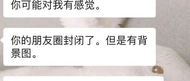 男人的自信到底哪个链接可以买？真的醉了哈哈哈哈
