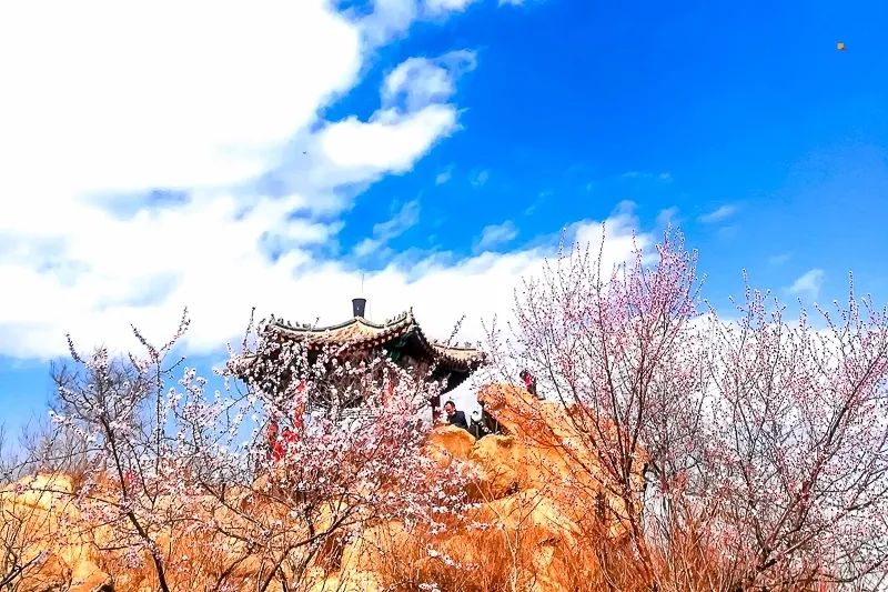 北京凤凰岭自然风景区门票_北京凤凰岭景区门票优惠政策_北京凤凰岭公园门票多少钱一张