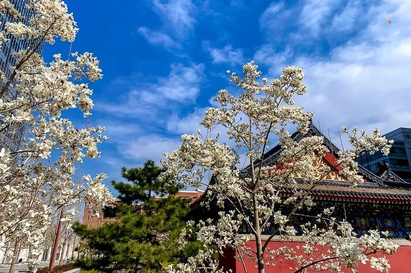 北京西侧的凤凰岭：探秘京西小黄山，感受自然鬼斧神工之美