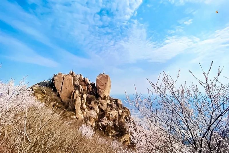 北京凤凰岭自然风景区门票_北京凤凰岭景区门票优惠政策_北京凤凰岭公园门票多少钱一张