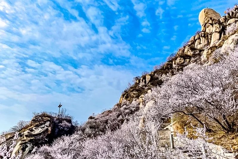 北京凤凰岭景区门票优惠政策_北京凤凰岭自然风景区门票_北京凤凰岭公园门票多少钱一张