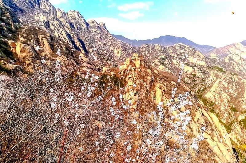 北京凤凰岭公园门票多少钱一张_北京凤凰岭景区门票优惠政策_北京凤凰岭自然风景区门票