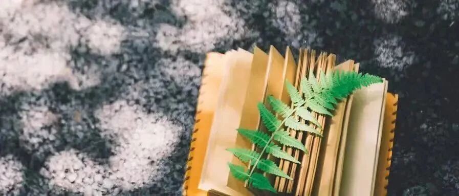 从班级倒数第6，逆袭重点大学：有远见的父母，都在帮孩子做这件事！（家长必看）