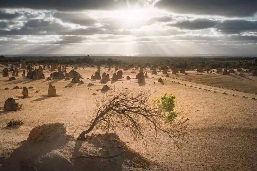沉得住气，方成大器！