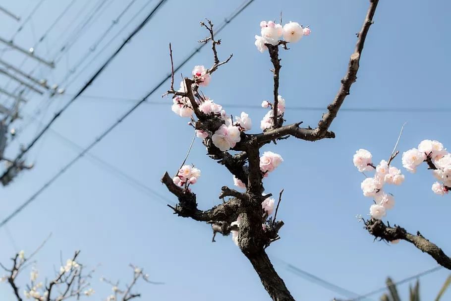 《易经》中最重要的三句话，看懂改变一生