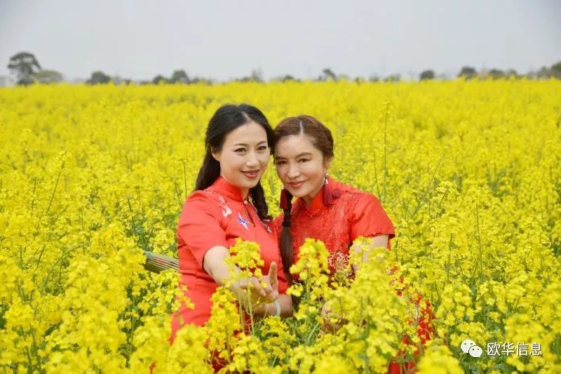article_img