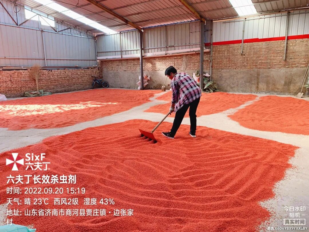 小麦拌种市场上的“红”与“黑” - 河南省植保新技术推广网