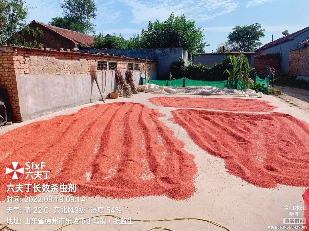 小麦拌种市场上的“红”与“黑” - 河南省植保新技术推广网
