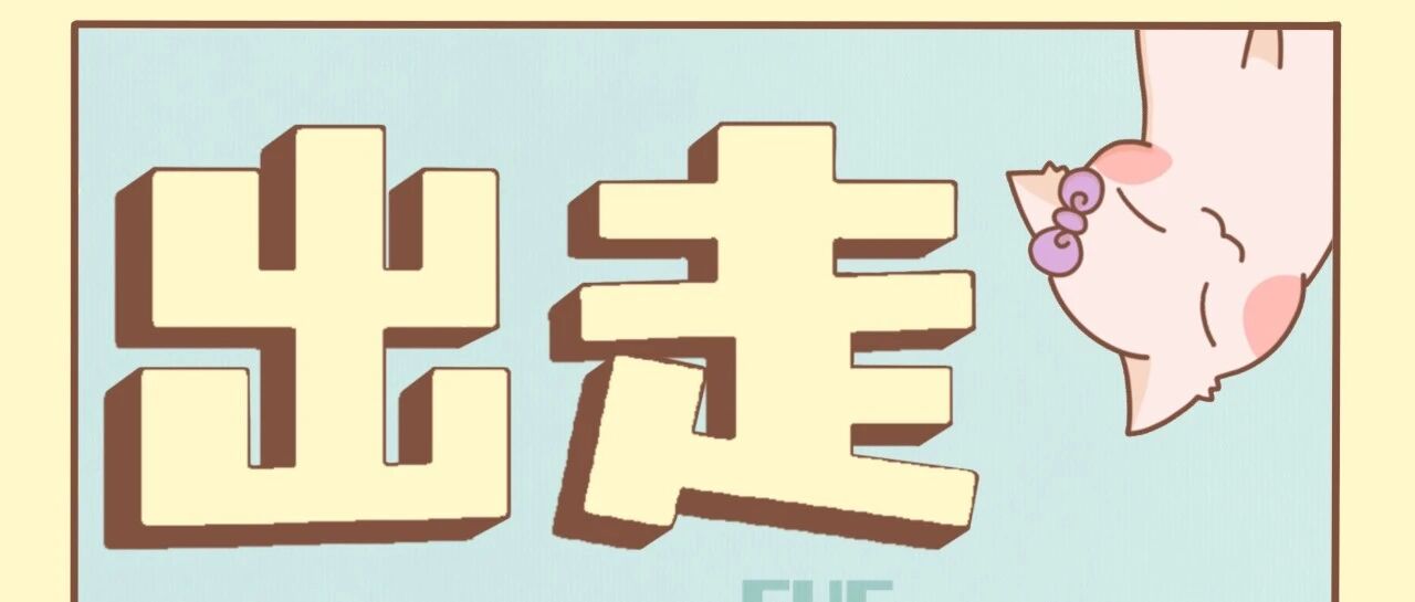 出走·074丨音乐人王铮亮:现在的我即来时的路
