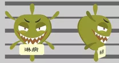 目前，有效治疗淋病的药物很多，首选青霉素。另外诸如壮观霉素（商品名