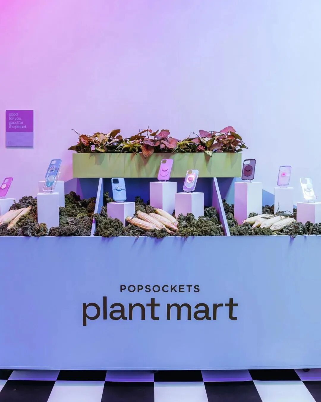 明星人手一个的手机气囊支架！Popsockets凭什么能卖到300元？