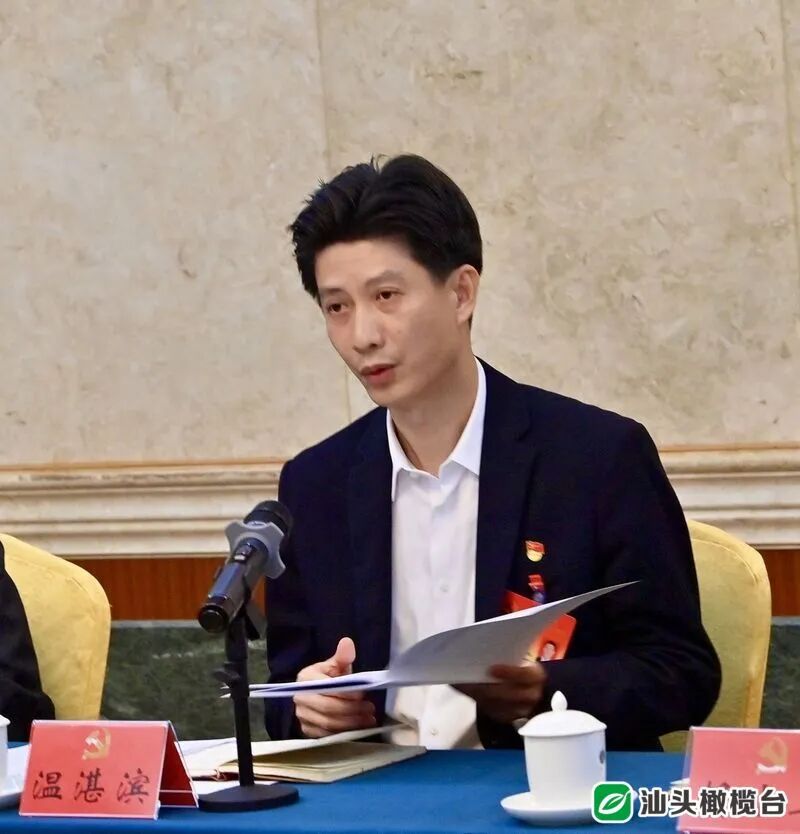 温湛滨参加濠江区代表团分组讨论