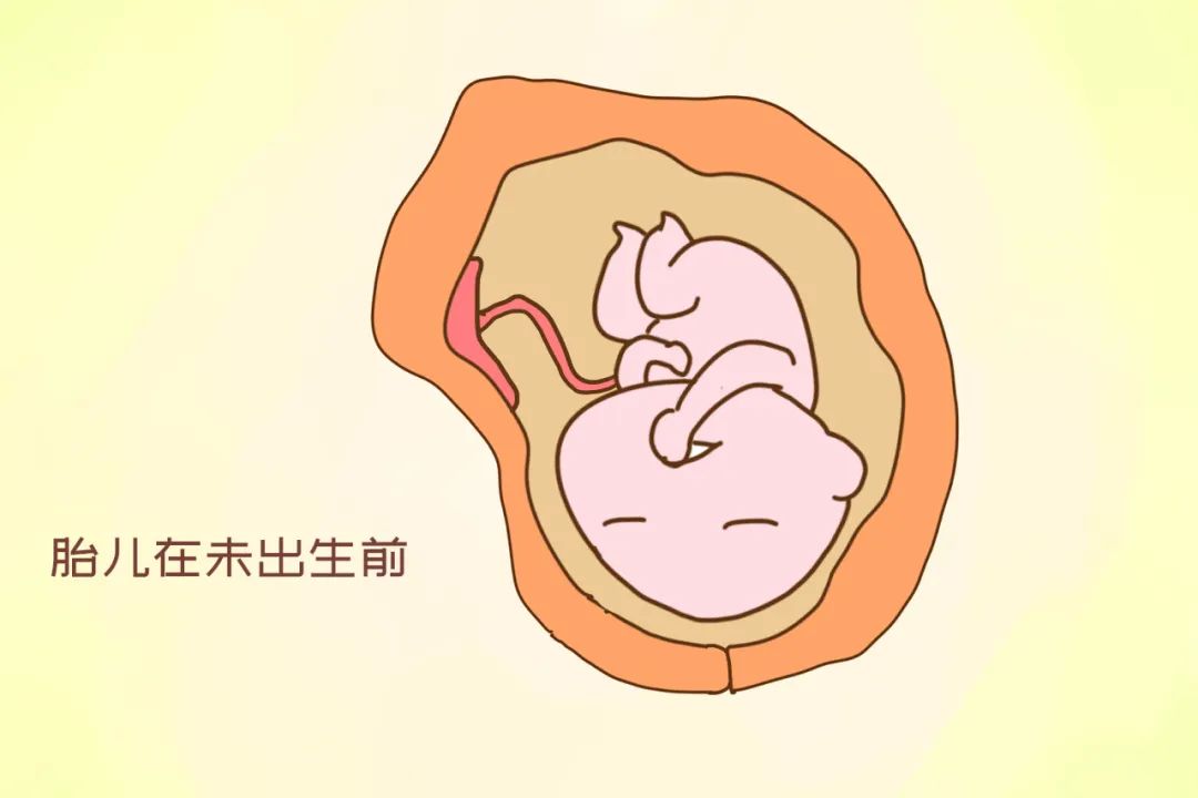 「如果難產先保我」孕媽生孩子的自保行為，在醫生看來很無知 親子 第3張