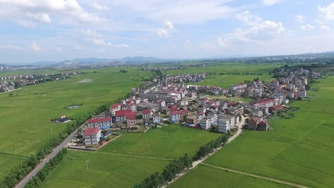 界埠镇:对接新宜吉 打造科创城