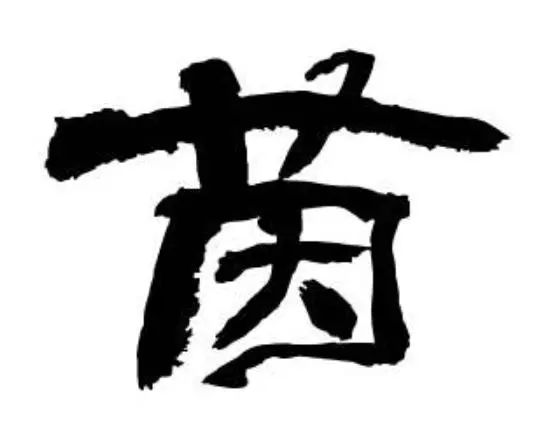 起名长辈同字_长辈取名同音好不好_取名和长辈同音对谁不好