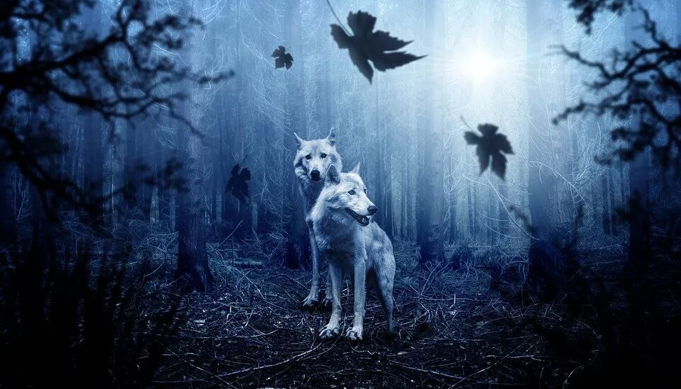 640?wx_fmt=jpeg&tp=webp&wxfrom=5&wx_lazy=1&wx_co=1