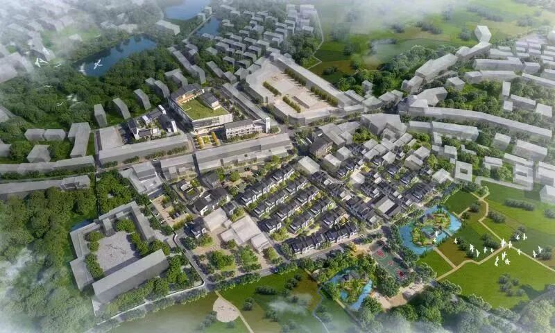 志光镇镇中村里搞宅改改出城乡融合新画卷