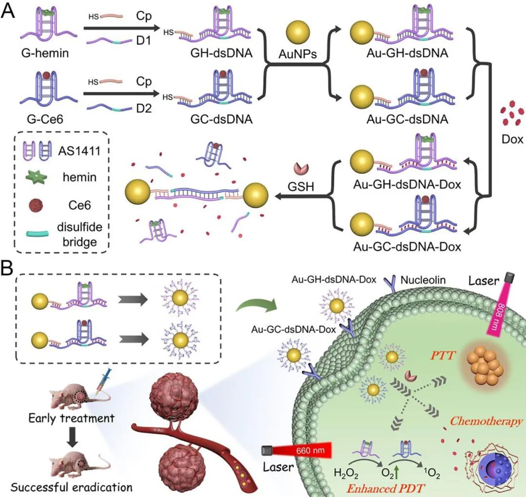 Gsh 激活dna Au纳米结构作为靶向药物递送平台实现pdt Ptt Chemo三重协同治疗 全网搜