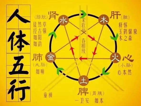为什么心是钩脉顺应自然是自主健康之本_https://www.jmylbn.com_新闻资讯_第2张