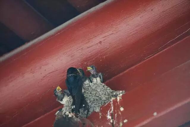 大吉之兆！财神爷找上门，躲都躲不掉！