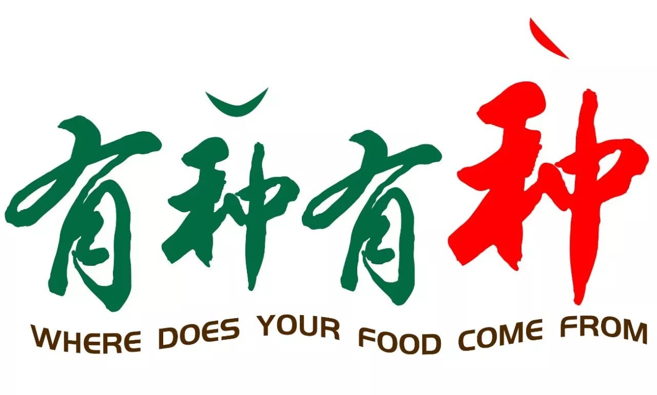 【CSA】布会也可以这么有趣又有料！