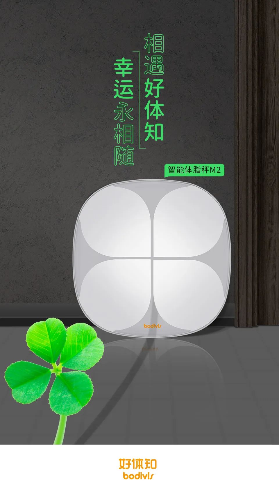 減肥運動有哪些_減肥運動的最佳時間_運動減肥