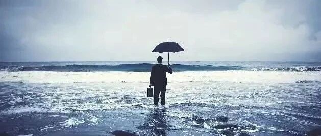 原来，这就是大树定律