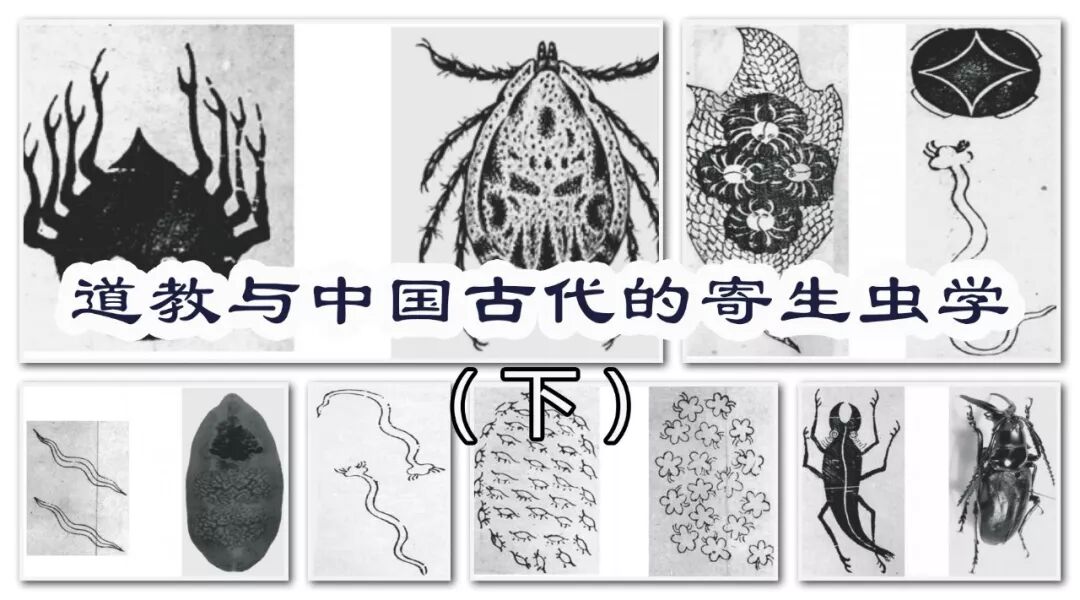 姜生 道教与中国古代的寄生虫学 下 历史博览 我爱寄生虫 微信公众号文章阅读 Wemp