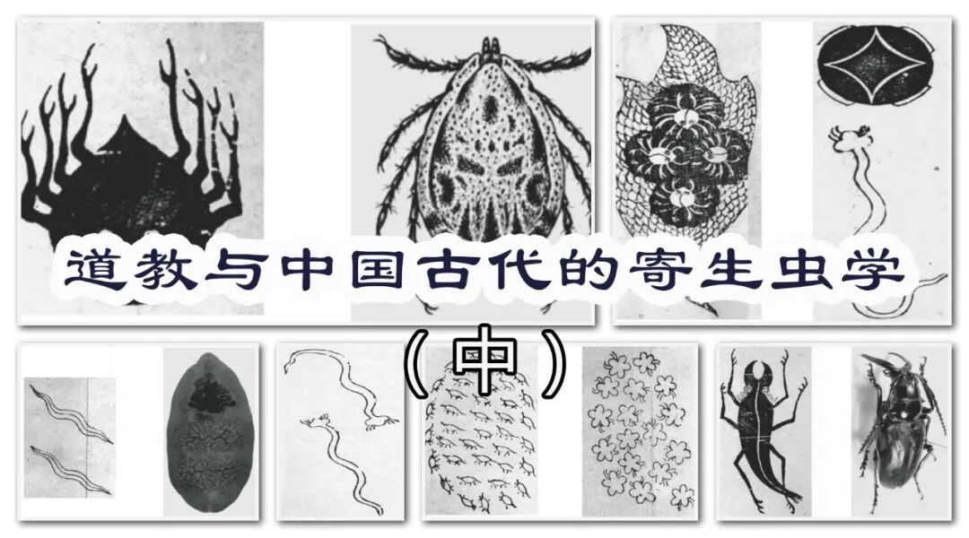 姜生 道教与中国古代的寄生虫学 中 历史博览 我爱寄生虫 微信公众号文章阅读 Wemp