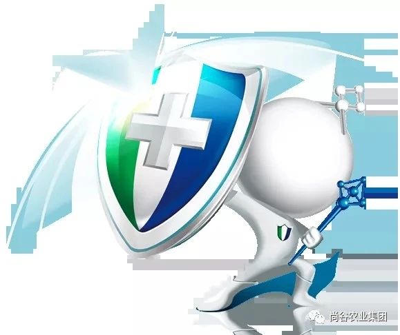 山东尚谷农业集团有限公司