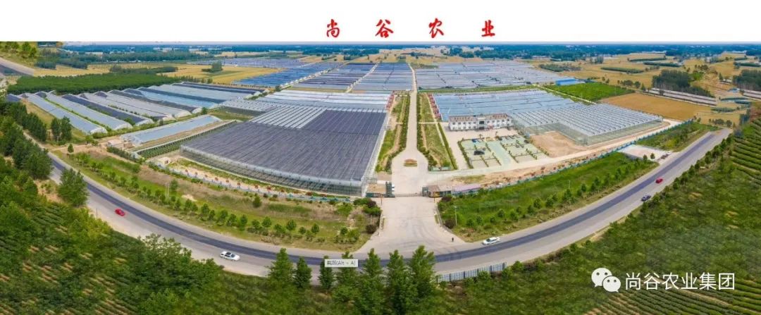 山东尚谷农业集团有限公司