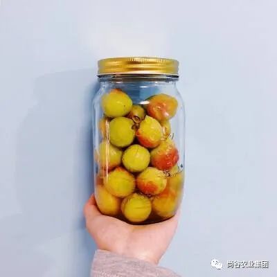 山东尚谷农业集团有限公司