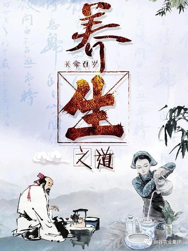 山东尚谷农业集团有限公司