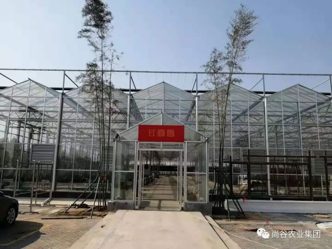 山东尚谷农业集团有限公司