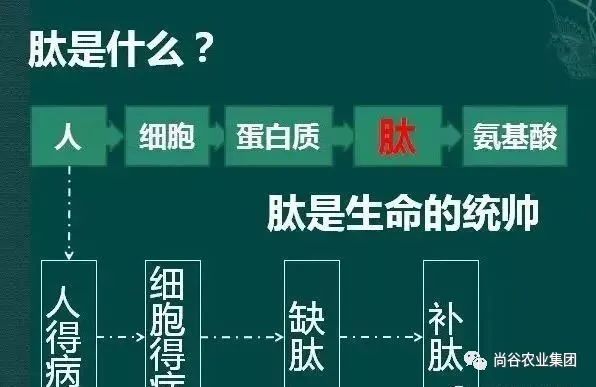 山东尚谷农业集团有限公司