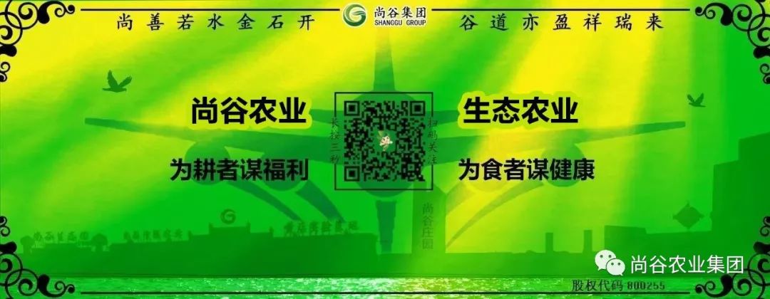 山东尚谷农业集团有限公司
